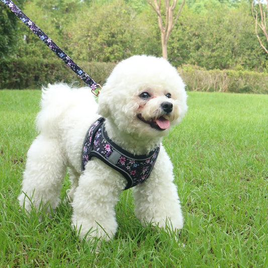 PawComfort Harness Set
