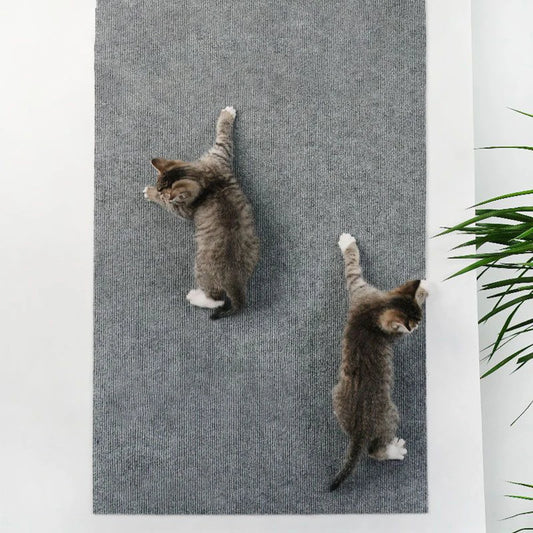 ScratchGuard Cat Mat